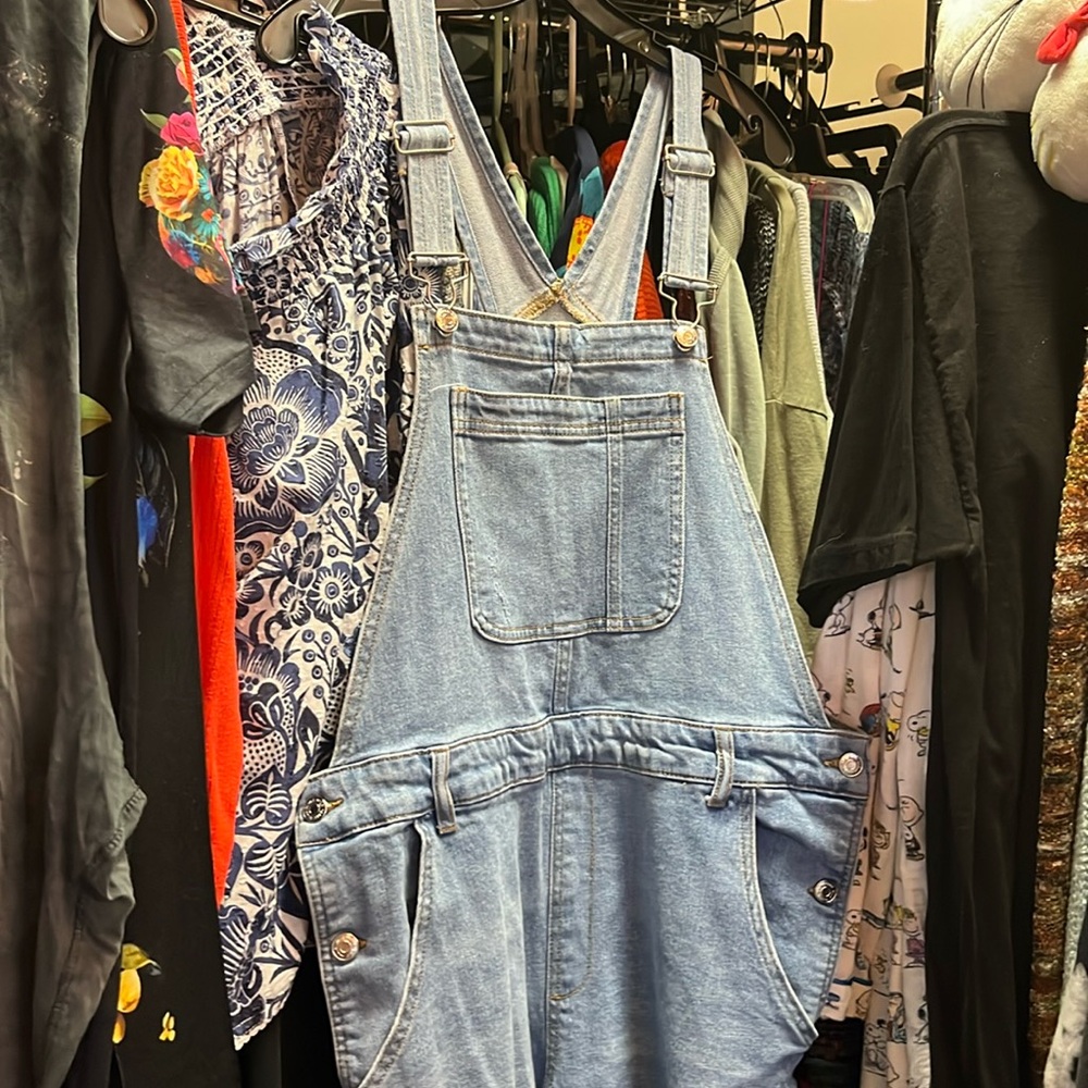 Overalls Xl Wild fable